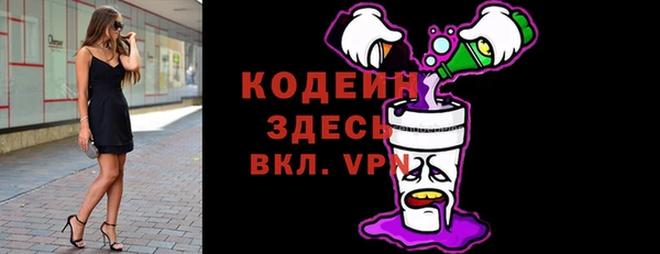 твердый Абаза