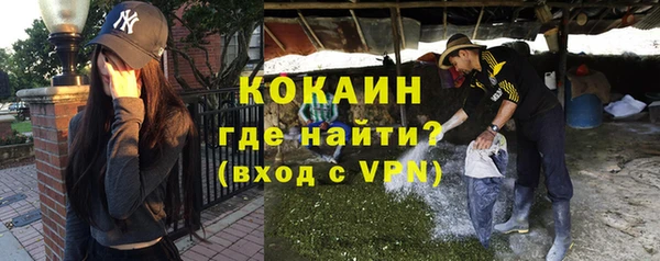 твердый Абаза