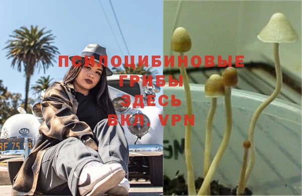 Альфа ПВП Абдулино
