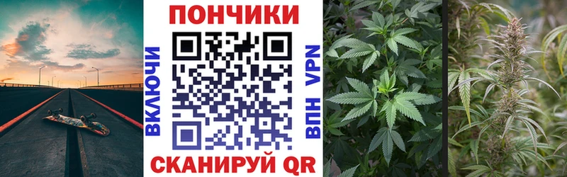 МАРИХУАНА сатива Чкаловск